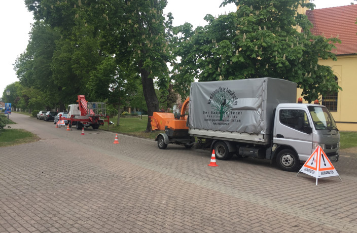 Beispielarbeit von Konstantin Wilde - Baumpflege - veröffentlicht auf Gartenbau.org